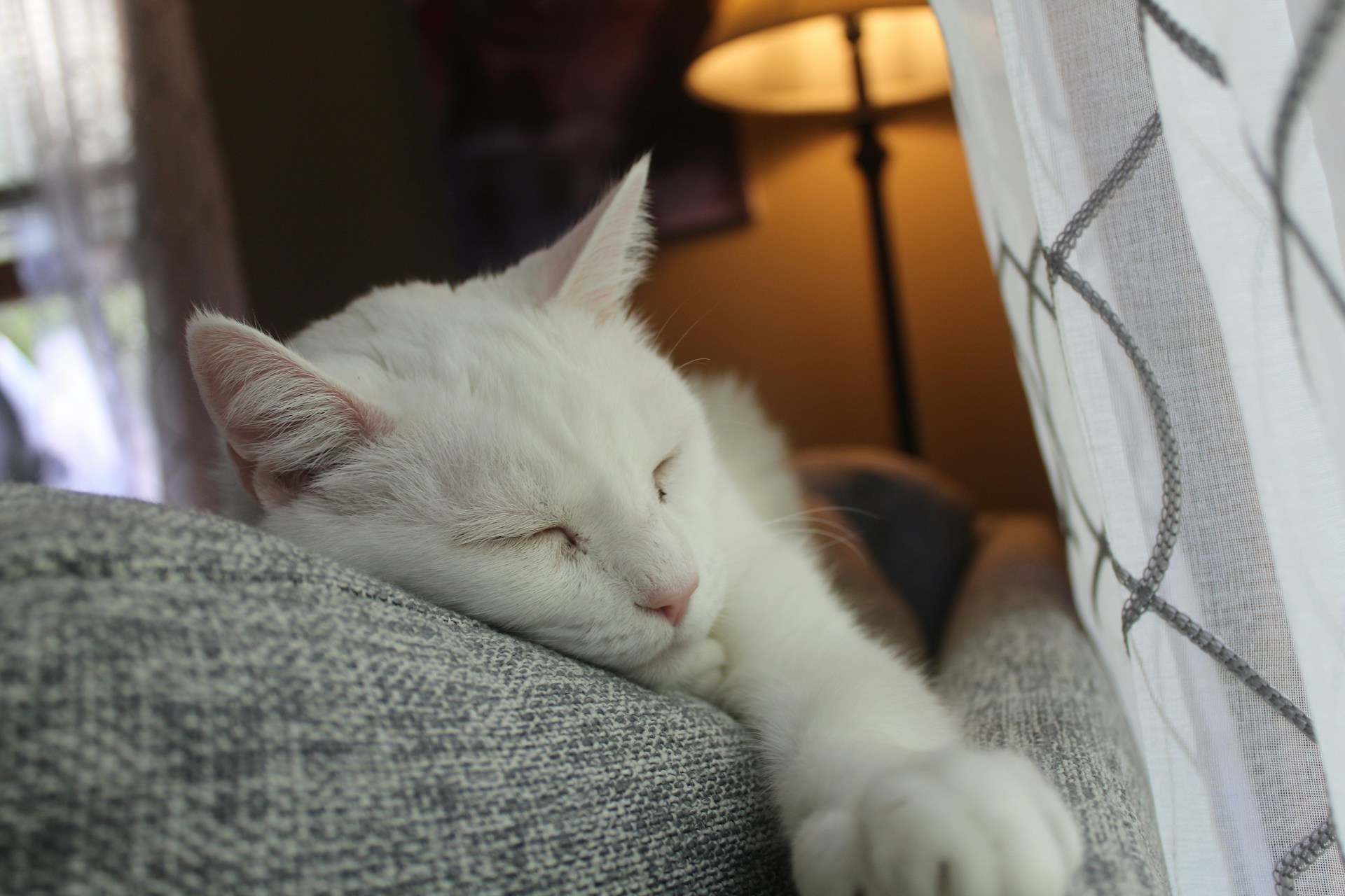 blog