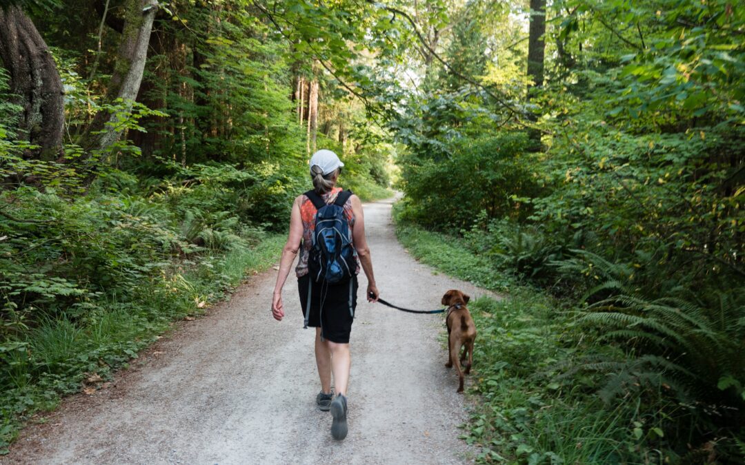 Tips for Keeping Your Dog Protected During Walks