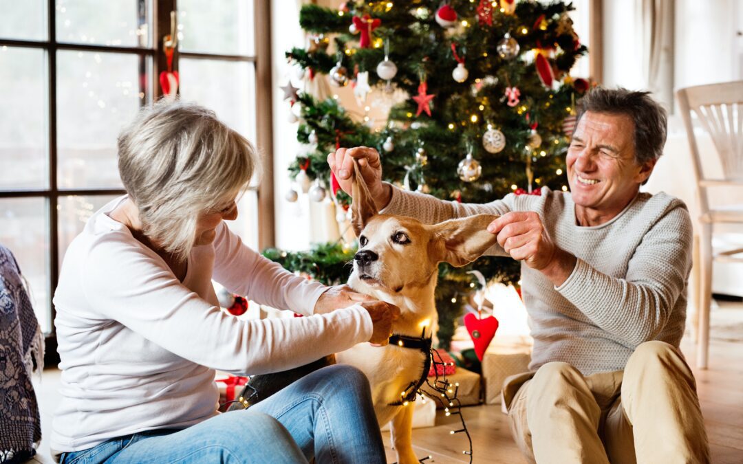 Joyful Celebrations: Tips for a Happy Holiday Season with Senior Pets